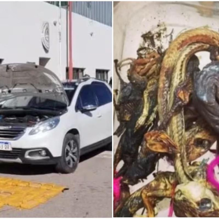 Cayó “la banda de la magia negra” en Jujuy: tenían 61 kilos de cocaína y hacían “brujerías” para proteger los cargamentos