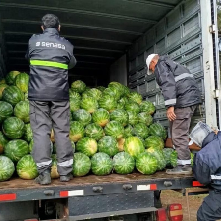 En la provincia de Corrientes se evitó el transporte de casi 9 toneladas de frutas que carecían de garantías sanitarias