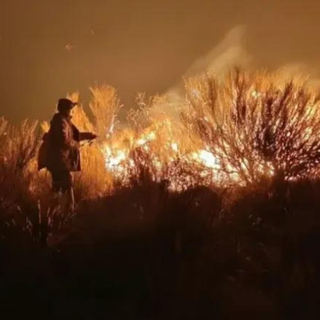 Incendios en Jujuy: se registraron 125 focos activos y advierten mayor riesgo de cara al verano