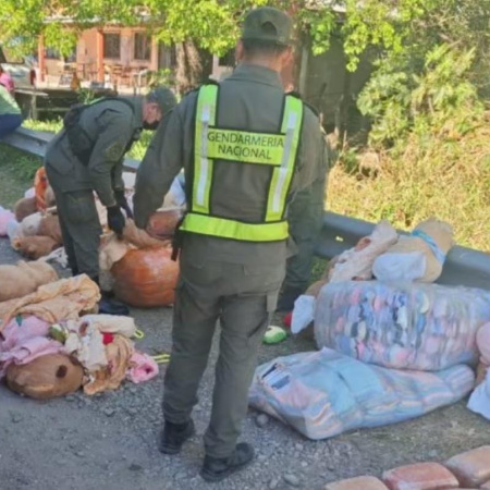 Un tour de compras con destino a Mendoza llevaba 54 kilos de droga escondidos en peluches