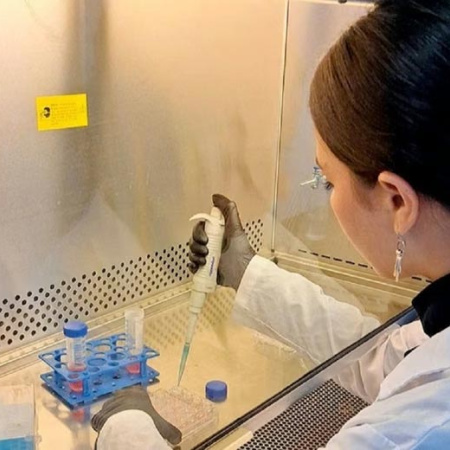 Científicos de la UBA avanzan en un test de sangre para detectar trastornos del neurodesarrollo en niños