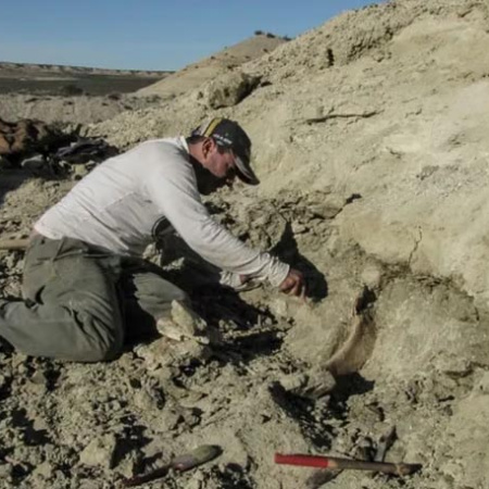 Revelan nuevos detalles de un dinosaurio gigante hallado en la Patagonia