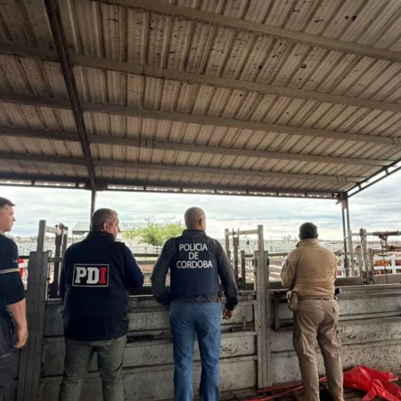 Recuperaron en Córdoba 135 vacas valuadas en $165 millones compradas con cheques sin fondos