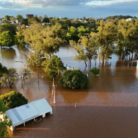 Súper Niño: aparecieron serpientes y yacarés en zonas urbanas por las inundaciones en el Litoral