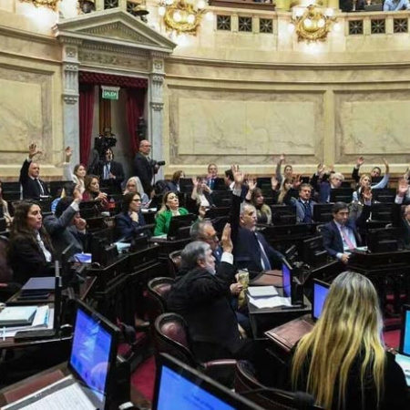 Tras una extensa sesión, el Senado le dio media sanción a la reforma de la Ley de Salud Mental